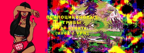 крисы Беломорск