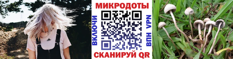 Галлюциногенные грибы прущие грибы  Невель 